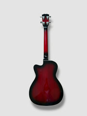 Sound Smith Hollow Body Baritone Ukulele