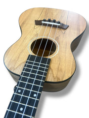 Sound Smith Agate Beach Concert Ukulele