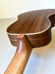 NEW! Sound Smith Acoustic-Electric Bass Ukuleles