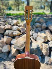 Sound Smith Guitar of the Day 🤎🤎🤎