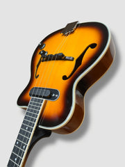 Sound smith tenor hollow body Ukulele