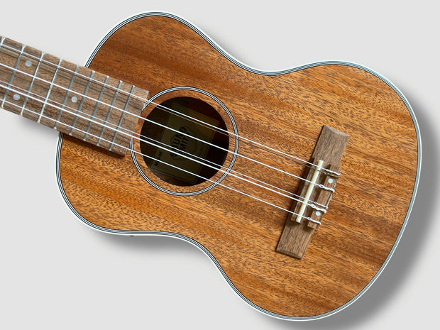 Sound Smith 6 string tenor ukulele