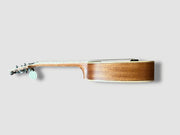 Sound Smith Pineapple long neck soprano ukulele
